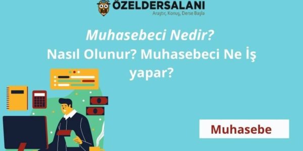 Muhasebeci kategorileri nelerdir?