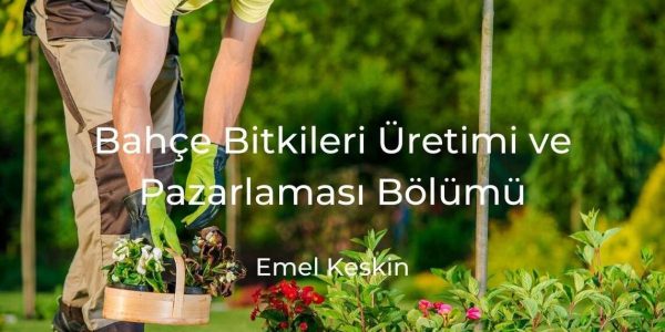 Bitkilerle ilgili meslekler