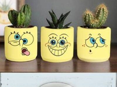 Evde çiçekler için çiçek süngeri nasıl değiştirilir?