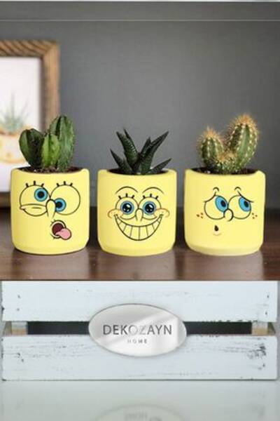 Evde çiçekler için çiçek süngeri nasıl değiştirilir?