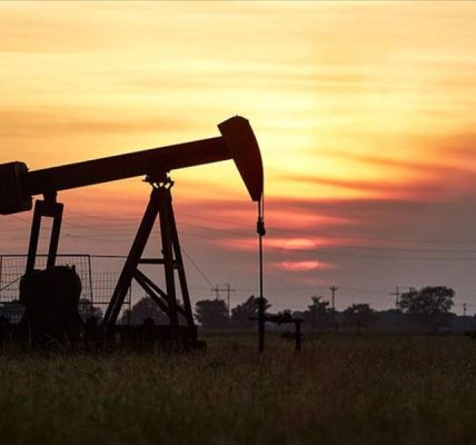 Petrolle ilgili meslekler