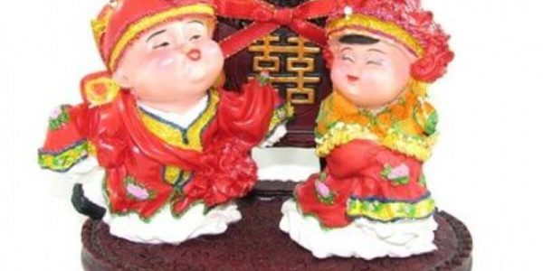 Mandarin ördekleri: nasıl seçilir ve sembol nereye konur?