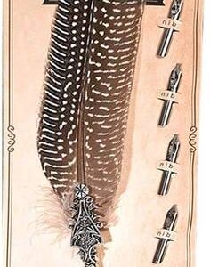 Kaligrafi için tüyler