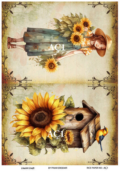 Dekupaj için pirinç kağıdı: nasıl seçilir ve kullanılır?