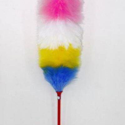 Toz alma fırçaları hakkında her şey (pipidastras)