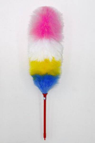 Toz alma fırçaları hakkında her şey (pipidastras)